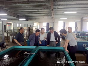 日韓專家訪問(wèn)江蘇省淡水水產(chǎn)研究所揚(yáng)中基地，共促水產(chǎn)技術(shù)交流與合作